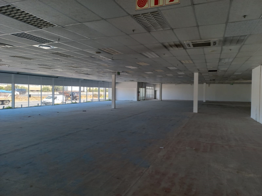 To Let commercial Property for Rent in Paarden Eiland Western Cape
